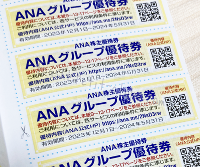 ANA っぽかっ 株主優待 4枚 (グループ優待券冊子付)